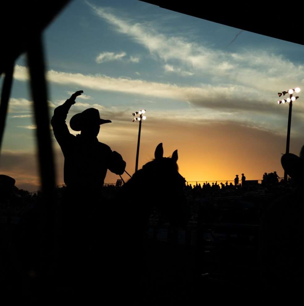 Silhouette of a cowboy on horseback in an arena at sunset. The rider wears a hat and raises one arm. Stadium lighting is visible in the background.