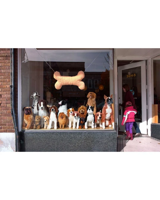 A storefront window displays a large collection of dog breeds as plush toys and a dog-bone decoration. A girl and woman enter the shop.