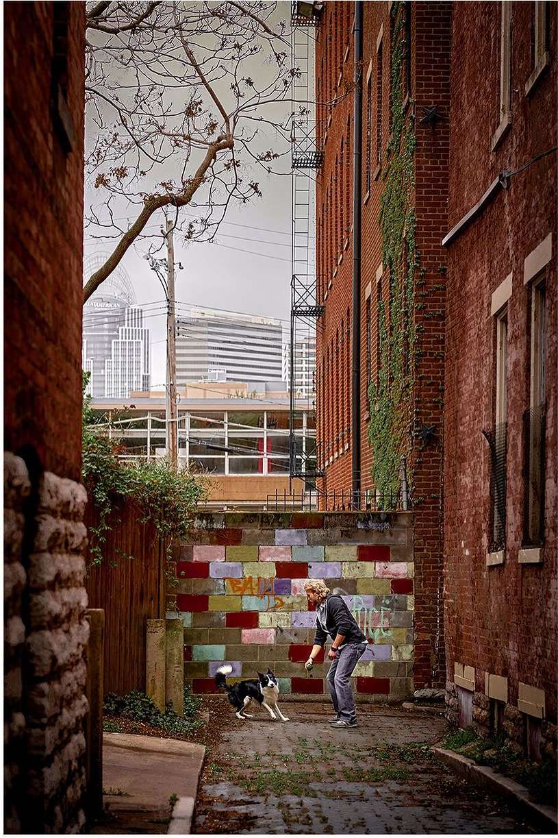 Adult man in casual clothing plays with a black-and-white Border Collie dog in an alleyway framed by brick buildings and a distant cityscape.