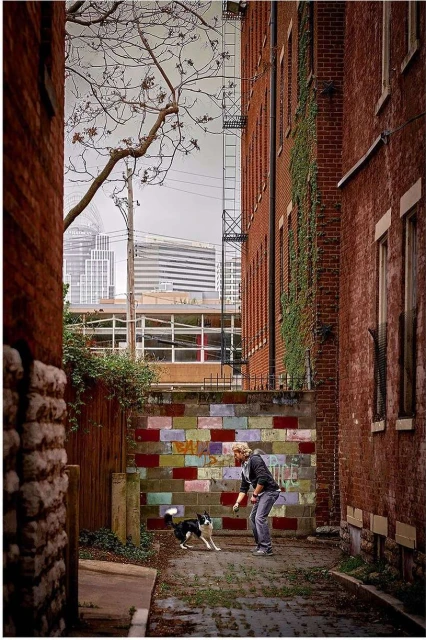 Adult man in casual clothing plays with a black-and-white Border Collie dog in an alleyway framed by brick buildings and a distant cityscape.
