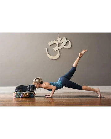 Adult woman in yoga pose with a dog on a pillow indoors. The woman is balancing on her hands and one foot. 