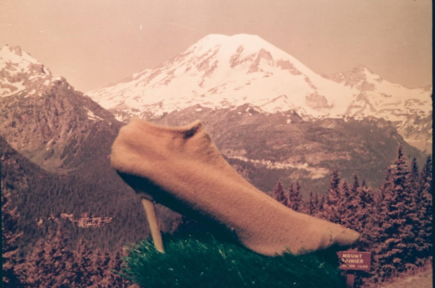 Sock-covered high heel on artificial grass, with mountain range in background, including Mount Rainier visible in an outdoor setting.