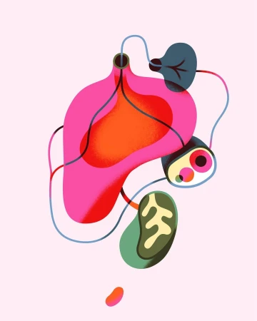 Illustration of abstract shapes, including forms resembling organs and leaves, connected by lines on a light pink background.