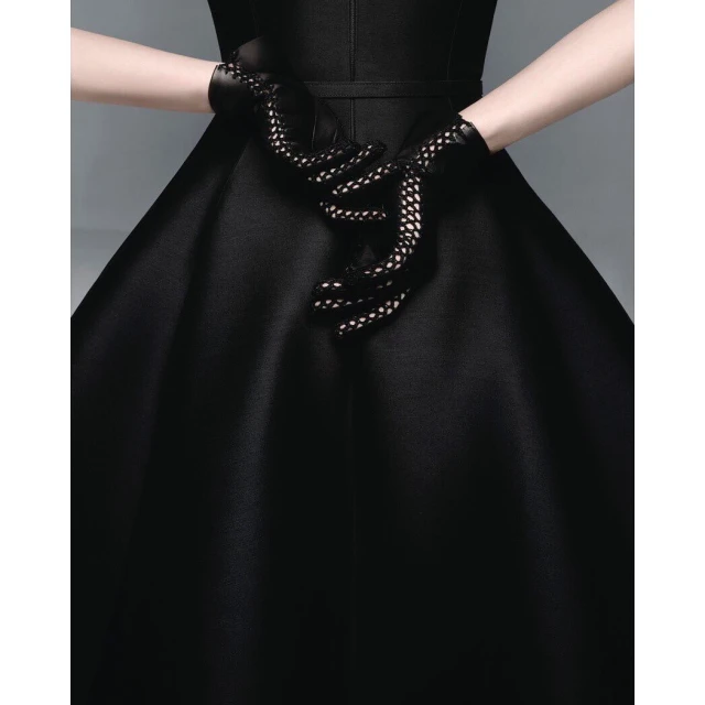 Close-up of a person wearing a black dress and ornate leather gloves, creating a formal and high-fashion aesthetic.