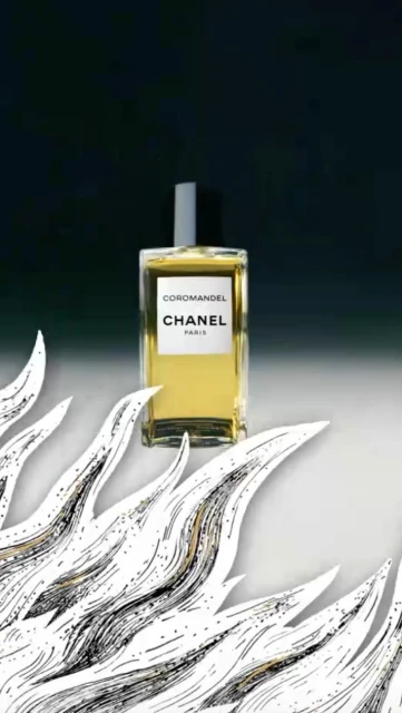 Chanel Coromandel perfume bottle on a gray background with white floral graphics. Elegant product shot for beauty and fashion.