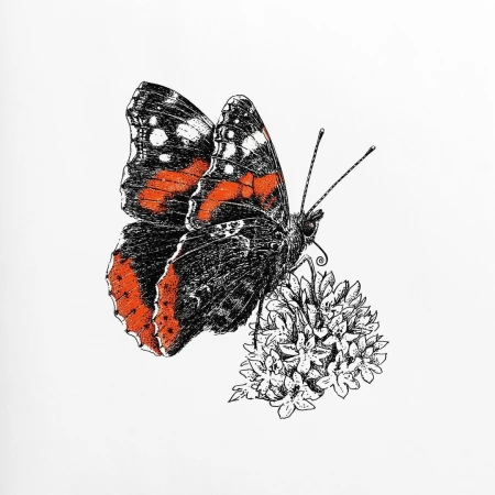 Monarch butterfly illustration with red and black wings perched on a white flower set against a clean white backdrop.