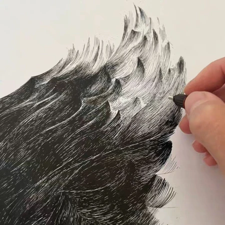 Hand holding a pen drawing intricate black ink feather details on white paper by Broll & Prascida