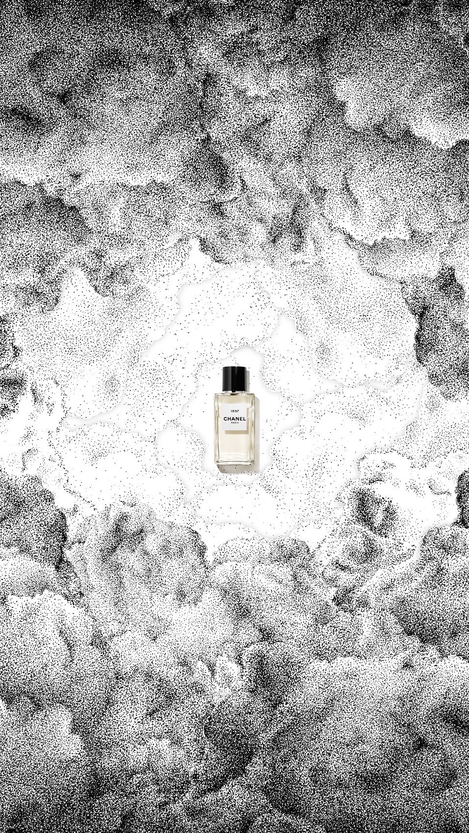 Artistic product shot: a perfume bottle stands against a stippled monochrome backdrop that mimics clouds and a celestial sky.