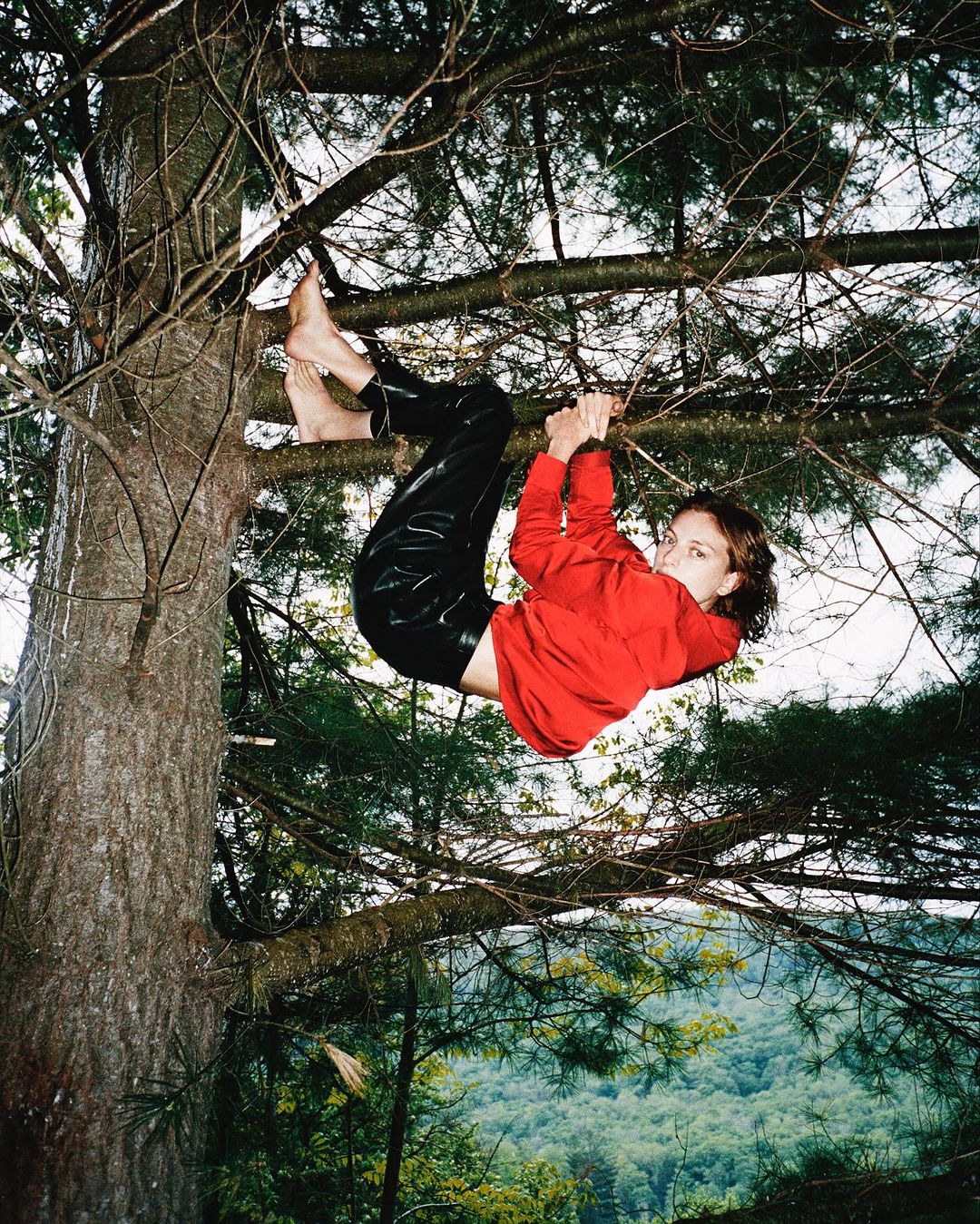 Young woman in red shirt and black pants hangs upside down from a tree branch in a lush green forest setting.