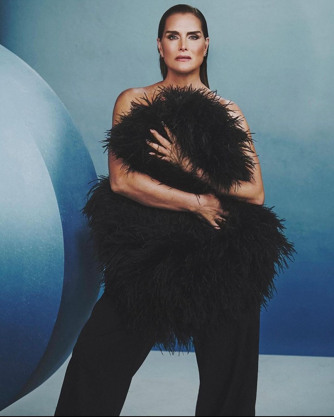 Brooke Shields portrait. A woman with dark hair and light skin poses indoors against a light blue background in elegant black attire.