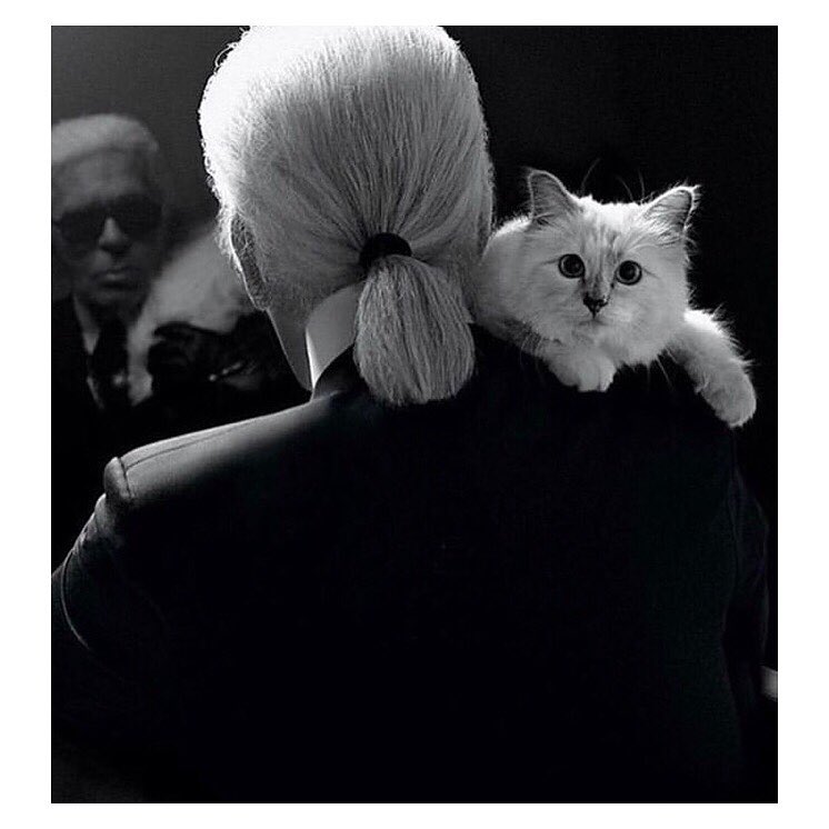 Black and white portrait of Karl Lagerfeld with a white Birman cat resting on his right shoulder, looking directly at the camera.
