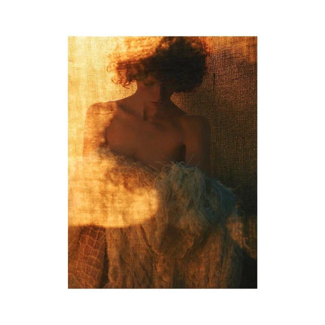 Portrait of a woman with an afro partially wrapped in sheer fabric, bathed in soft, golden light against a textured brown backdrop.