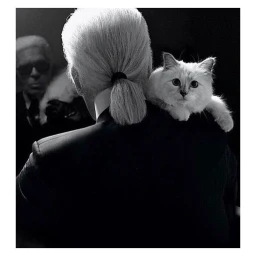 Black and white portrait of a person with light hair in a ponytail holding a fluffy cat on their shoulder.