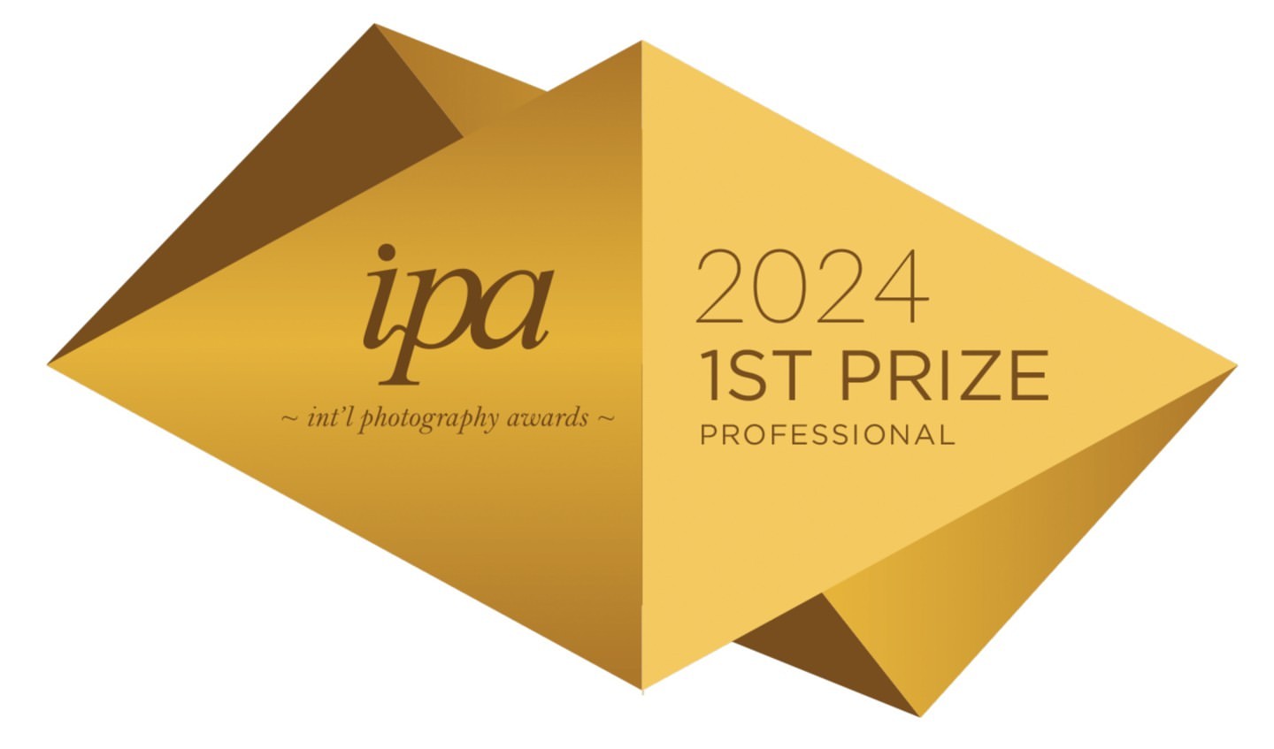International Photography Awards 2024, 1st Prize Professional award badge in brown and gold on a white background.