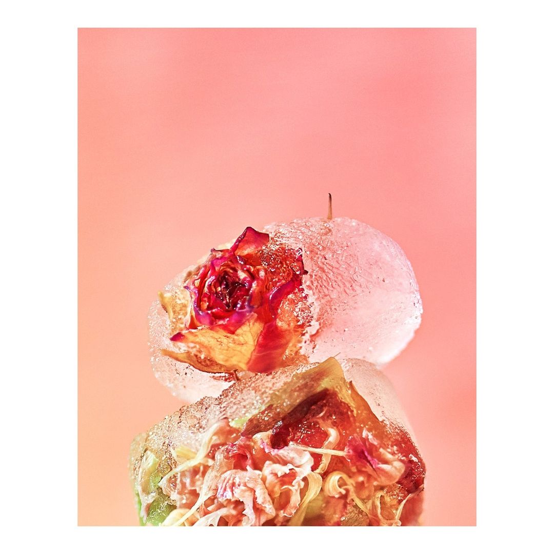 Close-up still life photograph of a red rose frozen inside clear ice spheres, against a light peach-colored studio background.