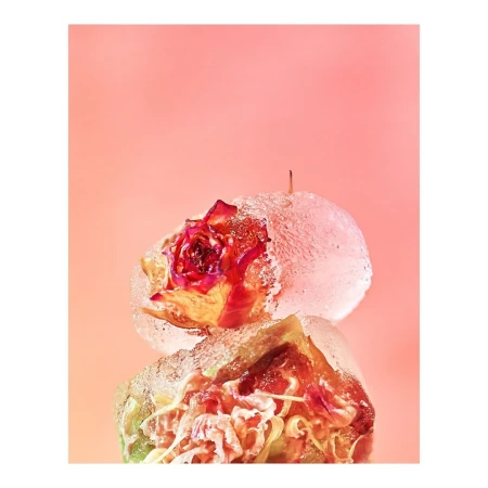 Close-up still life photograph of a red rose frozen inside clear ice spheres, against a light peach-colored studio background.