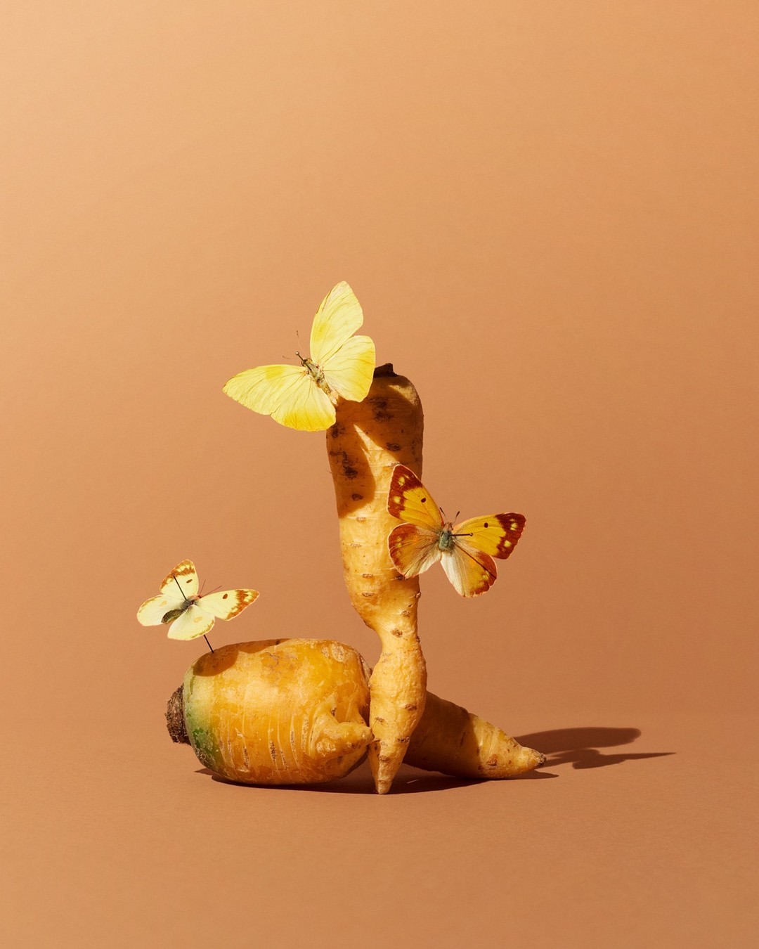 Whimsical still life: A vibrant carrot stands on its end with three yellow and gold butterflies perched on it against a tan background.