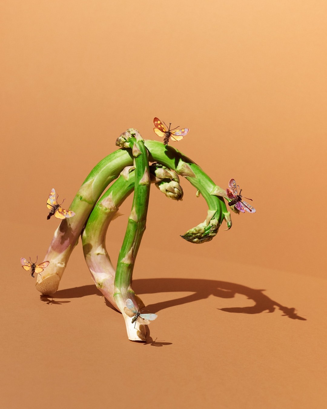 Studio shot of asparagus with colorful butterfly decorations on a bronze background, emphasizing food photography and playful food styling.