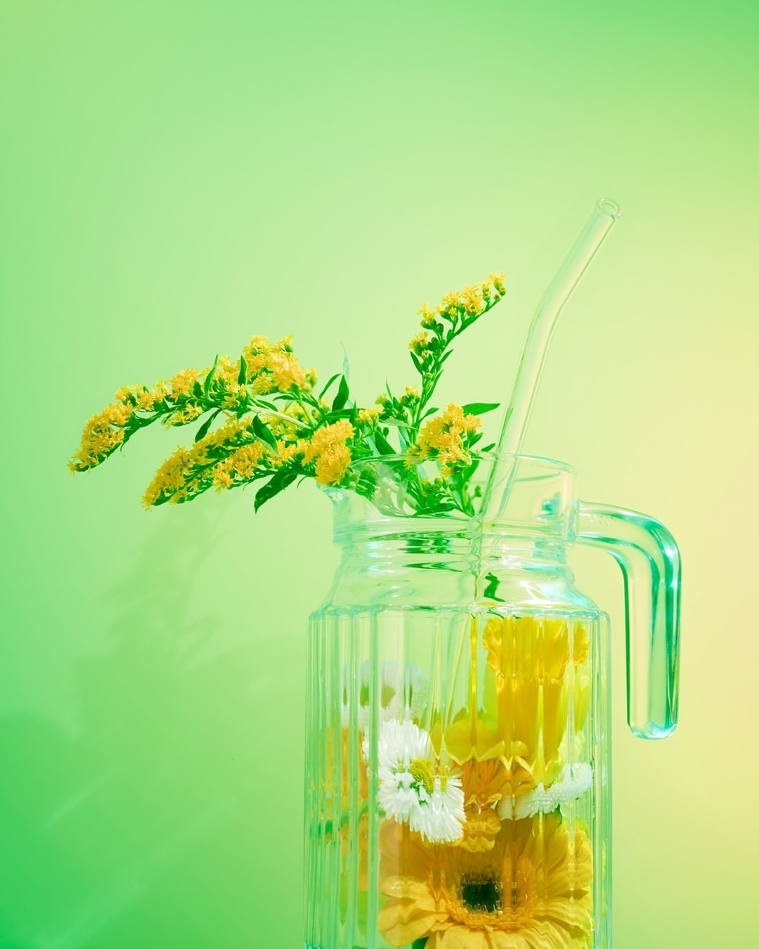 Close-up of a clear ribbed pitcher filled with water, yellow goldenrod, white daisies, and a glass straw set against a graduated green background.