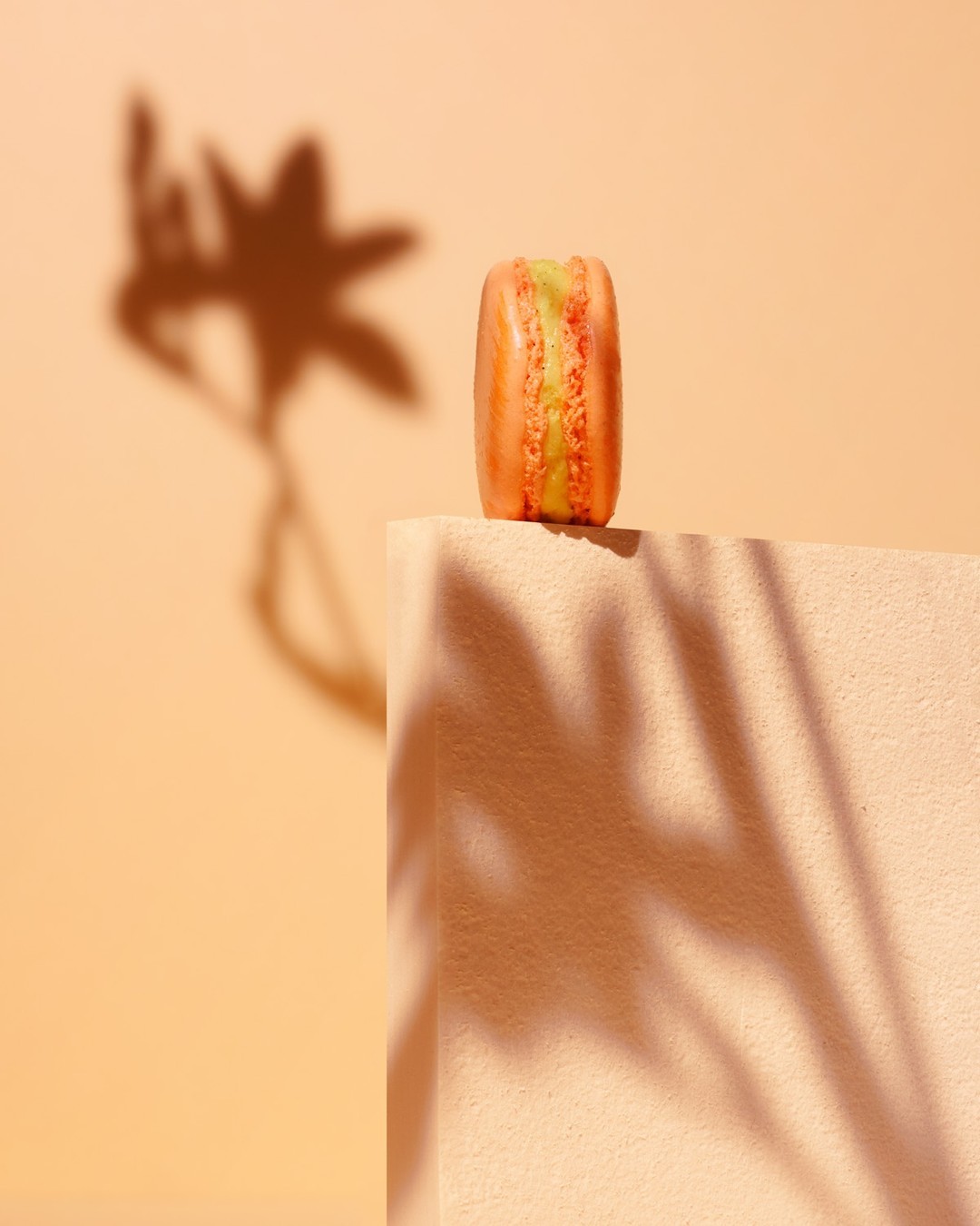 Close-up studio shot of a single vibrant orange macaron on a geometric block, bathed in soft light with striking leaf shadows.
