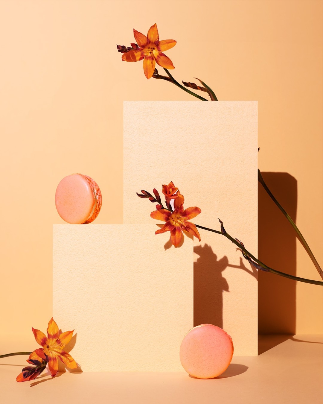 Two pink macarons are displayed with orange flowers against a peach backdrop with studio lighting and angular block display stands.