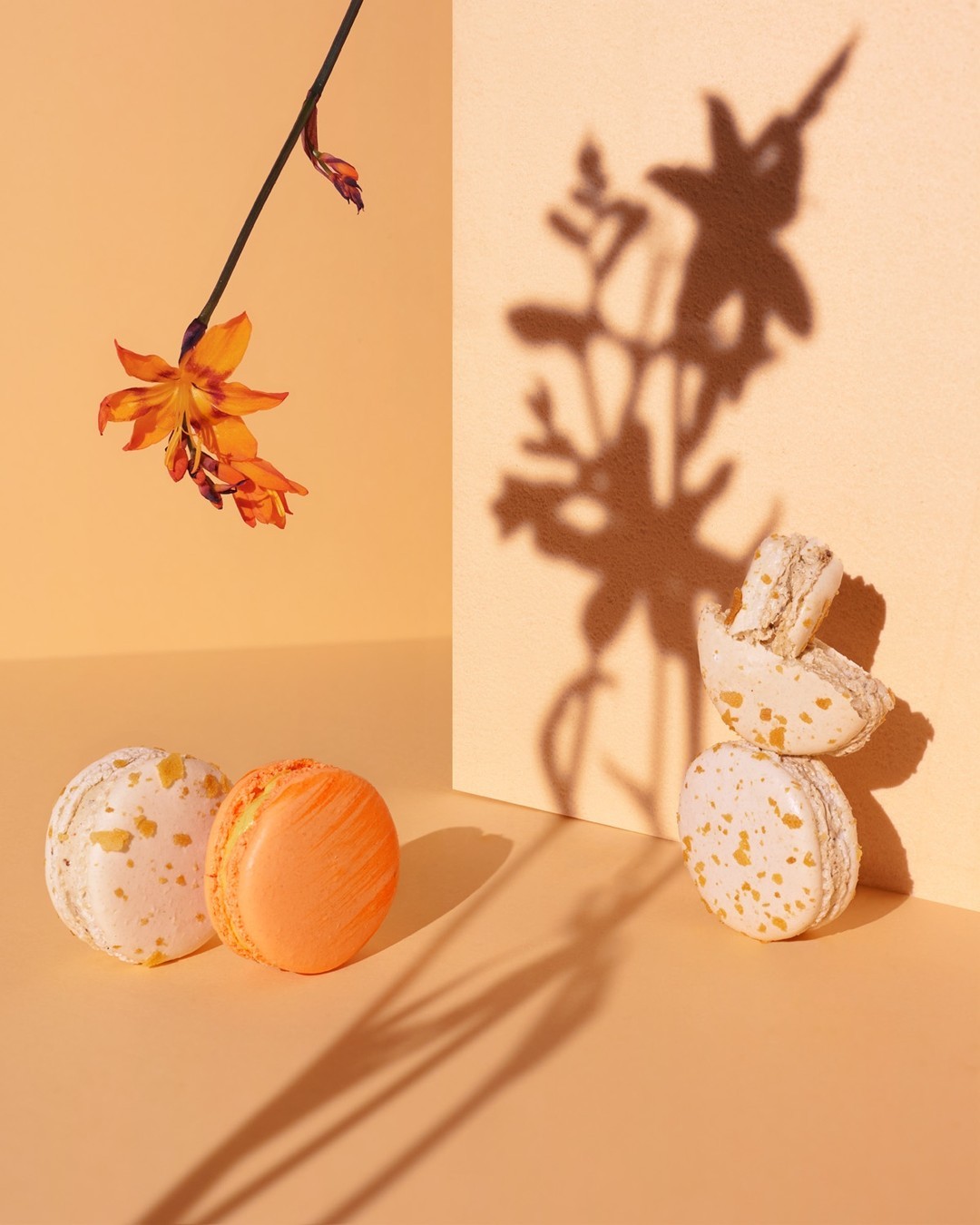 Pastel orange studio shot featuring macarons, a floral branch, and dynamic shadows against a warm, colorful background.