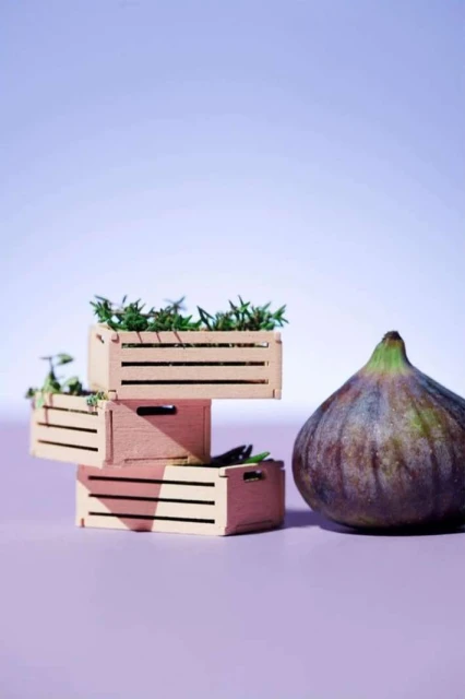 Still life shot of a fig next to stacked wooden crates with greenery inside, set against a light purple background.