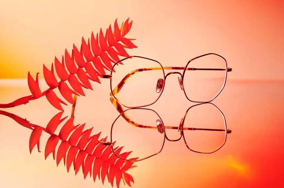 Still life of eyeglasses and orange flower branch with reflection in warm light. Product shot with clear eyewear and botanical element.
