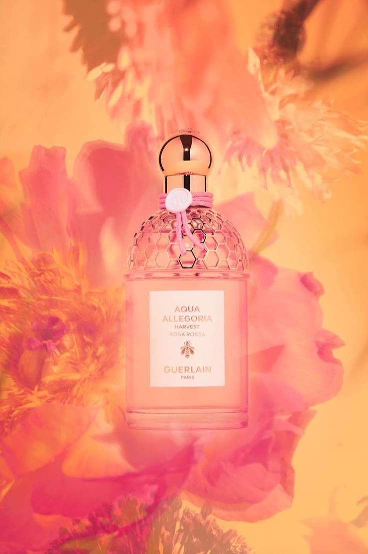 Guerlain Aqua Allegoria Harvest Rosa Rossa perfume bottle with golden cap is showcased among blurred pink and orange floral elements.