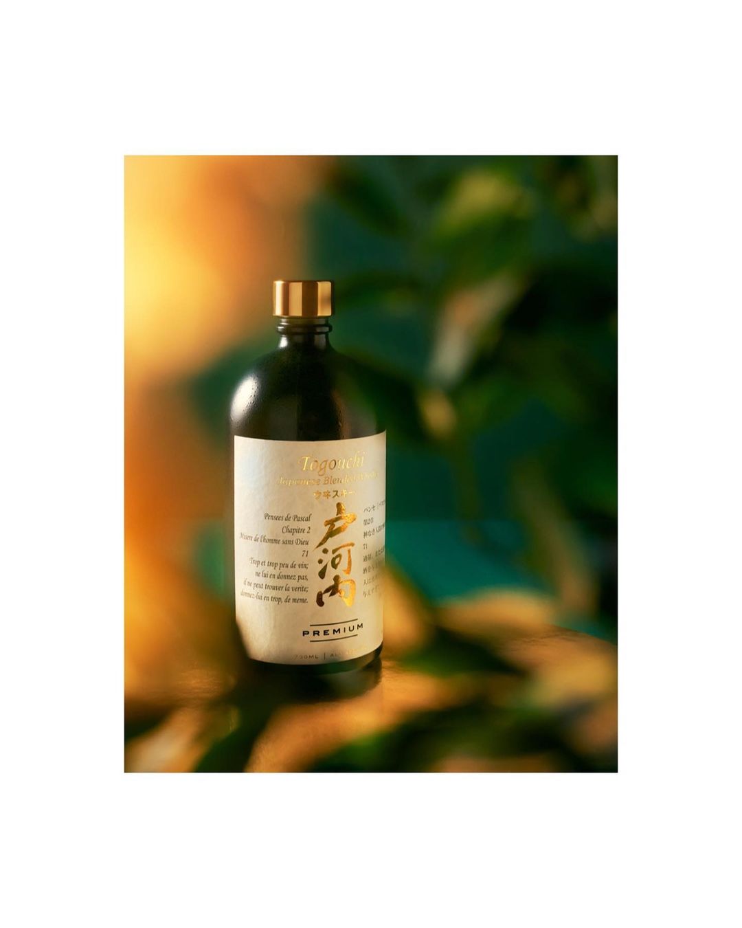 Elegant black bottle with gold accents against a blurred background of green leaves and a soft golden light.