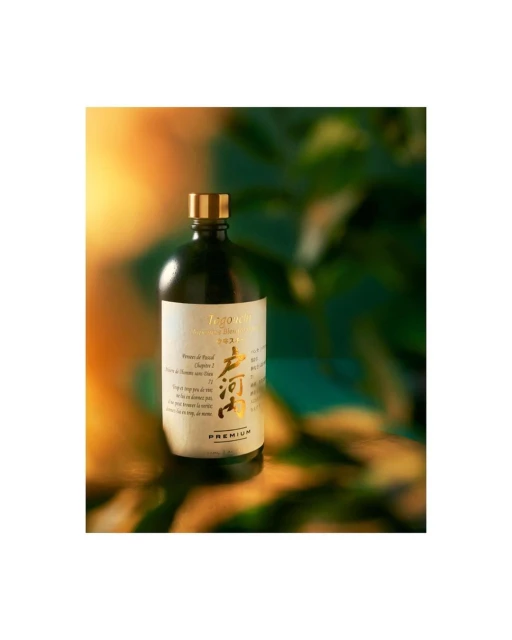 Elegant black bottle with gold accents against a blurred background of green leaves and a soft golden light.