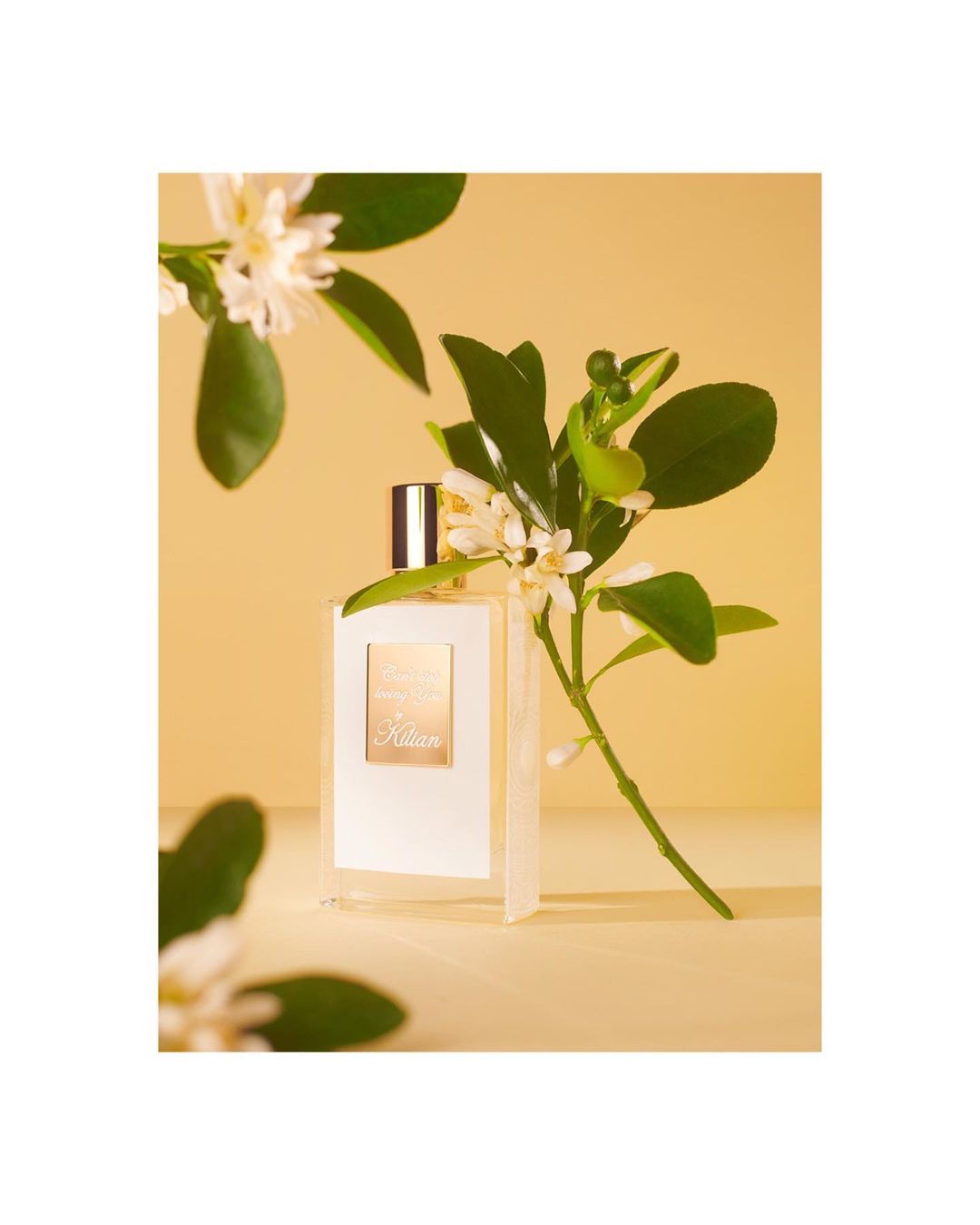 Still life shot of a perfume bottle featuring white flowers and green leaves, set against a soft yellow backdrop, product photography.