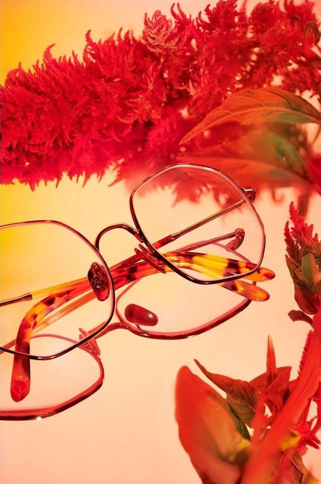 Stylish eyeglasses with tortoise-shell frames are arranged with red celosia flowers against a gradated orange-to-yellow background on a reflective surface.