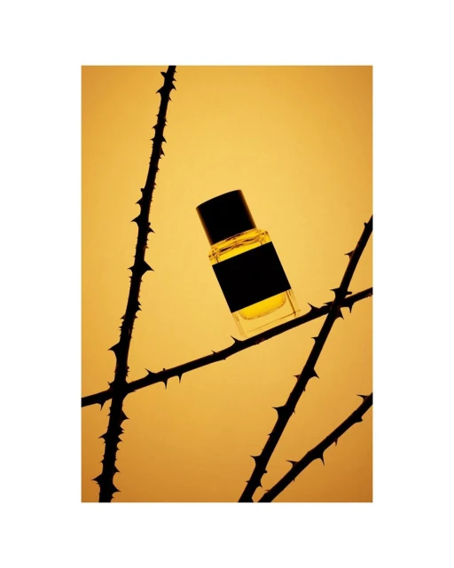 A glass bottle of fragrance stands among thorny branches against a soft yellow backdrop in a beauty and fashion still life.