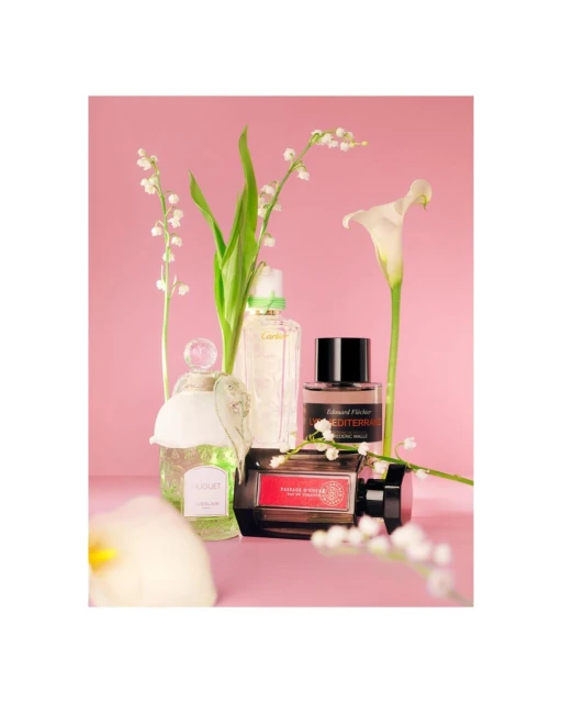 Still life shot of several perfume bottles arranged with white flowers against a pink background, creating a clean and elegant composition.