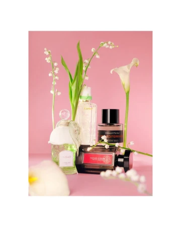 Still life shot of several perfume bottles arranged with white flowers against a pink background, creating a clean and elegant composition.
