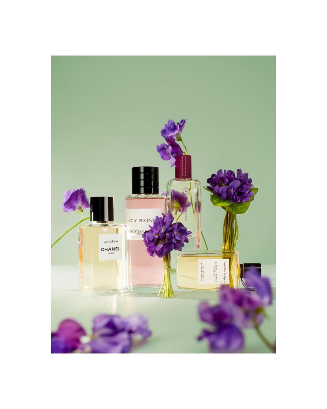 Four perfume bottles displayed with purple flowers against a light green backdrop, creating a beauty and fragrance themed studio still life.
