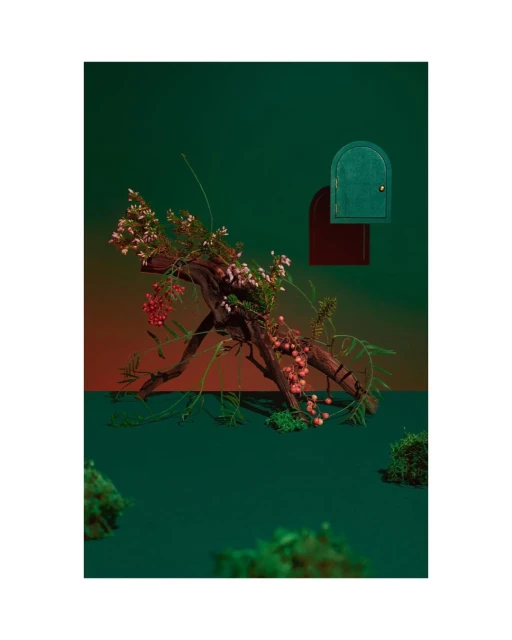 Still life of a branch adorned with small flowers, placed against a two-toned green backdrop with miniature doors for an artistic look.