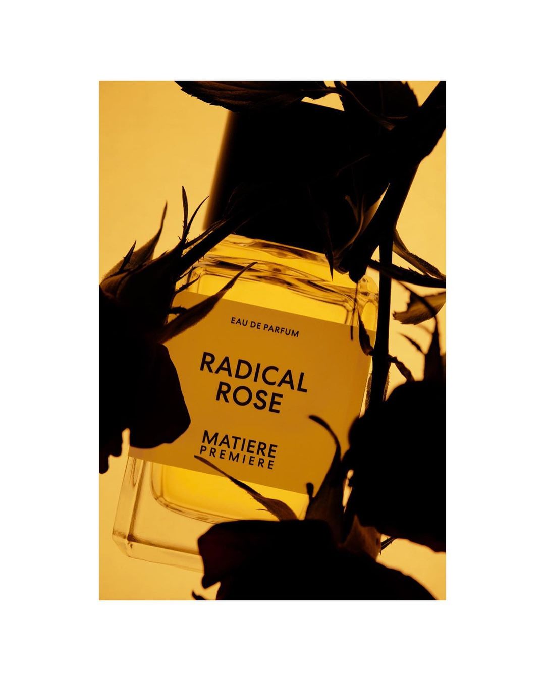 Close-up studio shot of a perfume bottle with flowers. The bottle is square and clear, with a white label and black text on a yellow background.