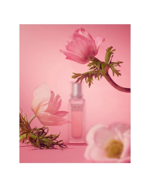 Pink perfume bottle surrounded by anemone flowers against a matching pink background in a beauty and fashion product shot.