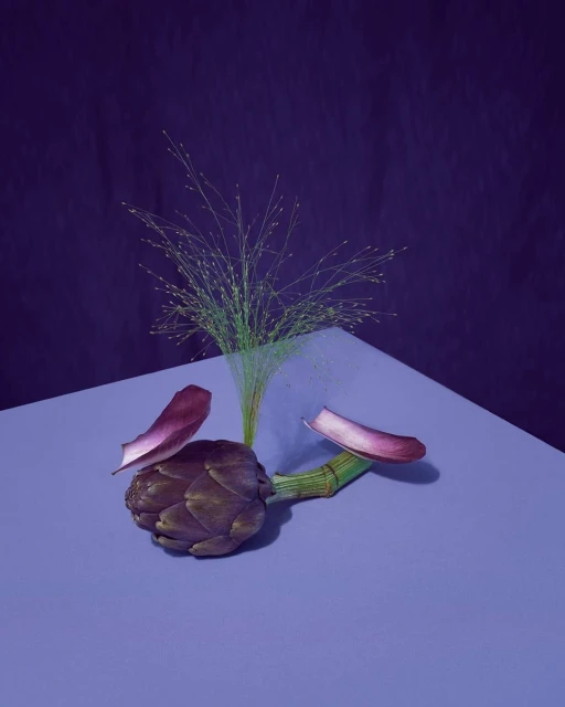 Still life featuring an artichoke with purple petals, ornamental grasses, and a purple backdrop, staged on a light purple corner surface.