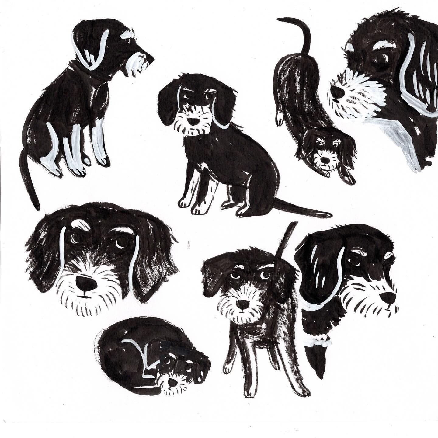 Illustration of several black and white dogs in different poses on a white background, created with bold strokes and simple lines.