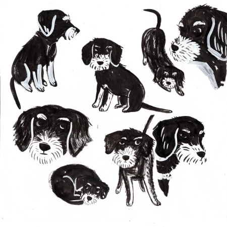 Illustration of several black and white dogs in different poses on a white background, created with bold strokes and simple lines.