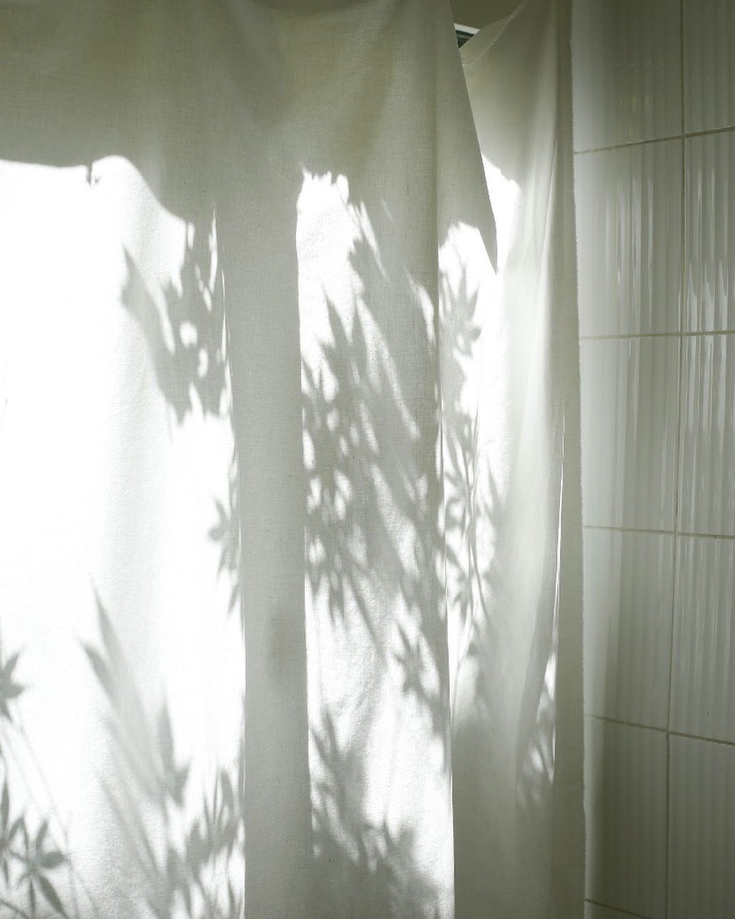 Leaf shadow patterns cast on a white fabric curtain and tiled bathroom wall in bright daylight