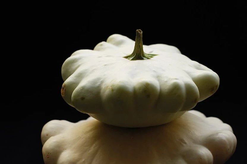 Two stacked patty pan squashes in front of a dark background, showcasing their unique shape and pale green color.