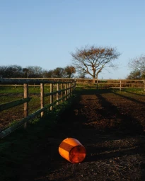 An overturned orange bucket rests on dark muddy ground in a fenced paddock beneath a clear blue sky, captured by Camille Malissen.