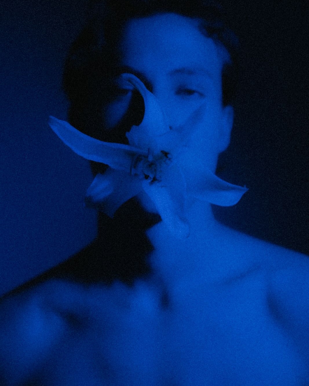 Monochromatic portrait of a fair-skinned young adult with a white lily covering the lower face, set against a dark blue background.