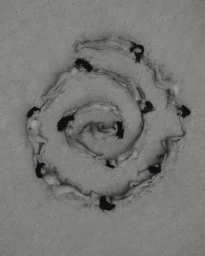 Aerial view of multiple women arranged in a large spiral pattern on a sandy beach.
