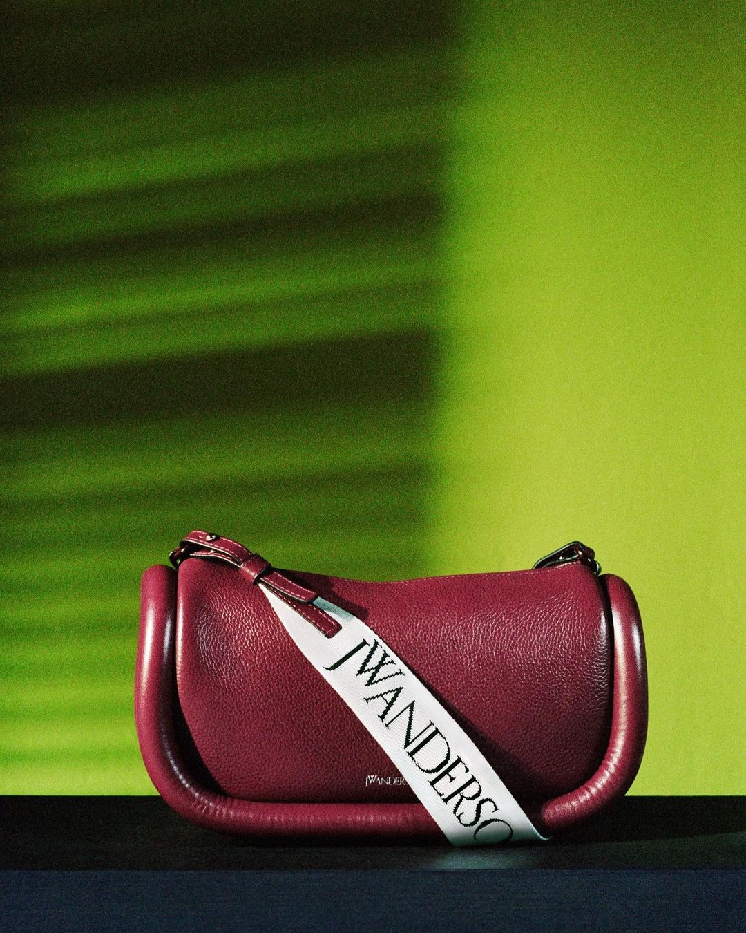 Burgundy leather JW Anderson handbag with white logo strap sits against a gradient green background with soft leaf shadow.