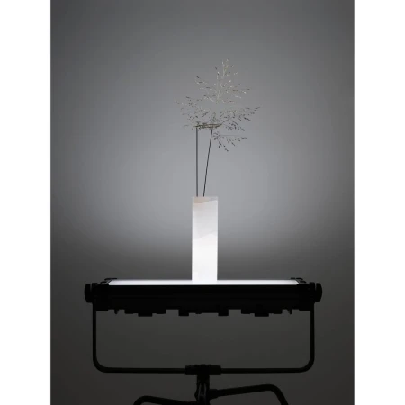 Carl Kleiner